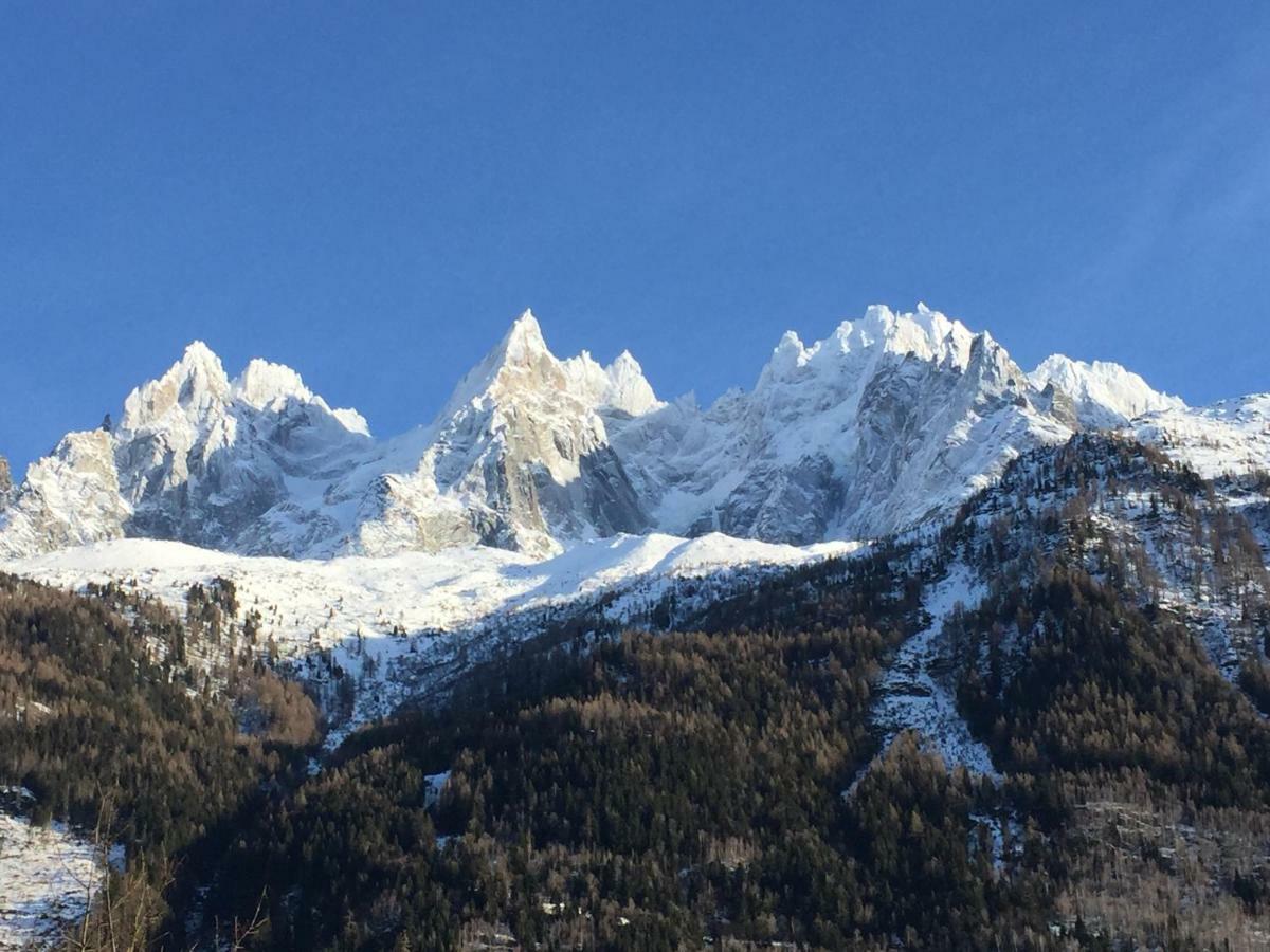 Le Petit M Chamonix Au Pied Du Brevent Apartment Екстериор снимка
